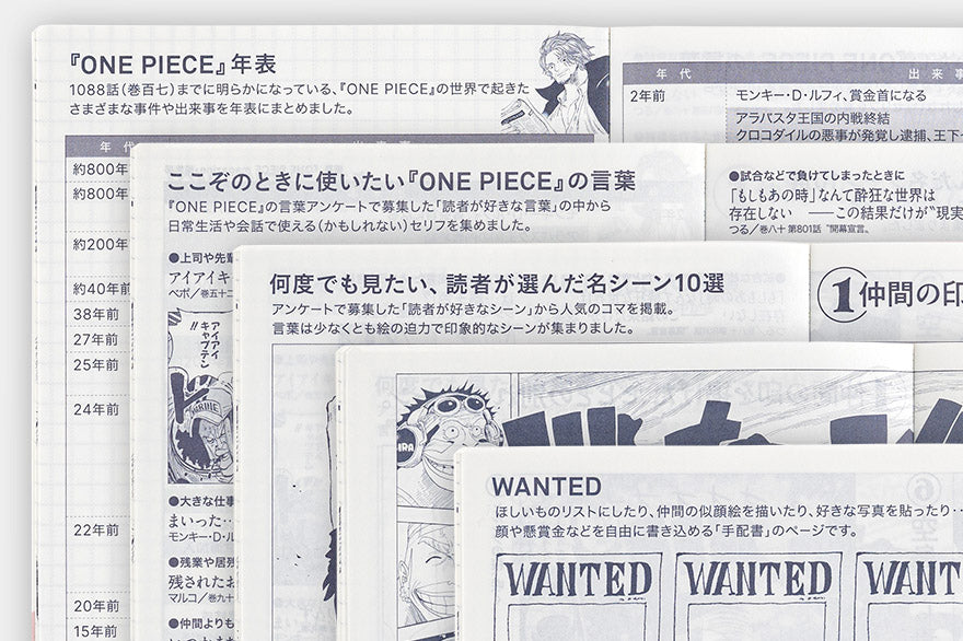 [PRE - ORDEN] Planificador Diario - Hobonichi Techo 2025: One Piece Edition (Japonés)