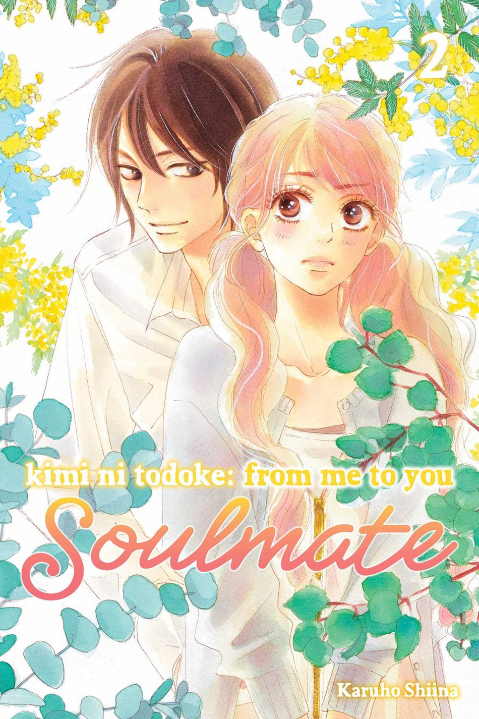 Kimi Ni Todoke: From Me To You: Soulmate - Volumen 2 (Inglés)