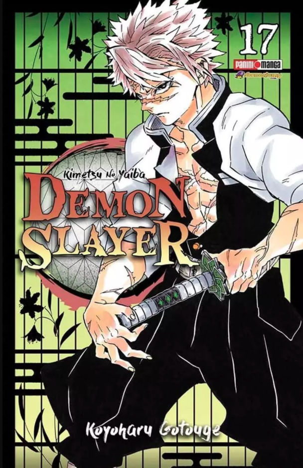 Demon Slayer - Volumen 17 (Español)