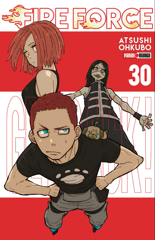 Fire Force - Volumen 30 (Español)