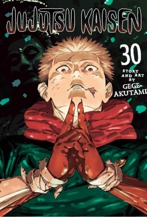 Jujutsu Kaisen - Volumen 30 (Inglés)