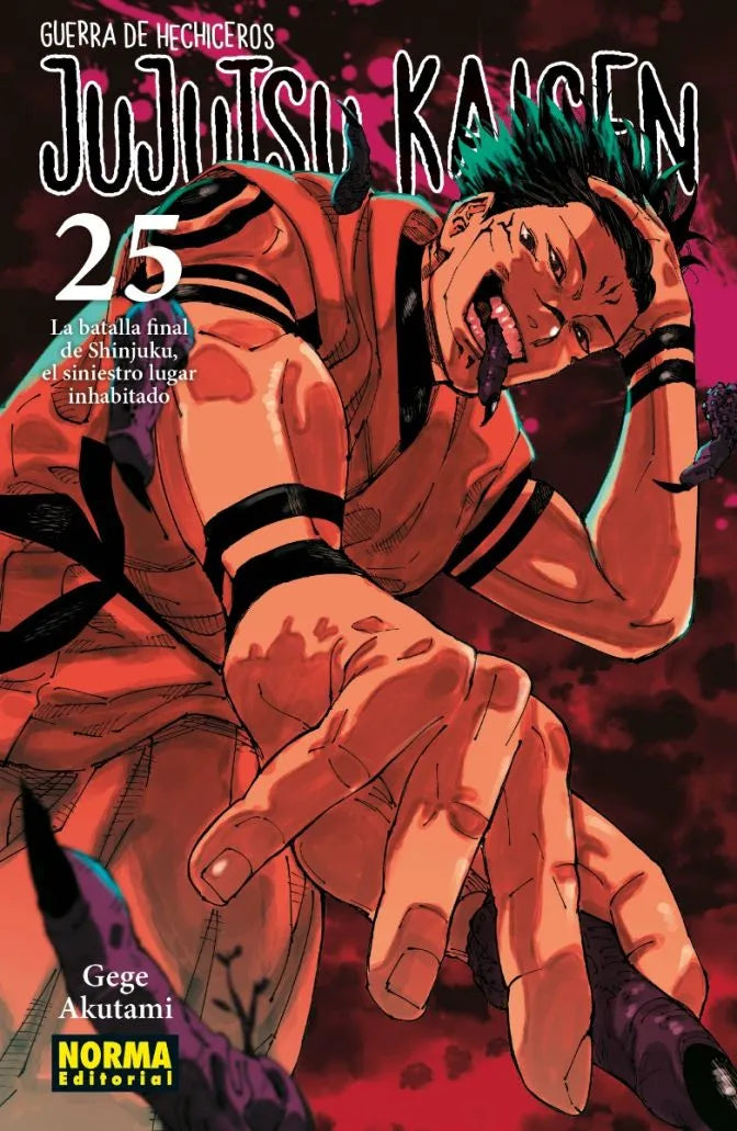 Jujutsu Kaisen - Volumen 25 (Español)