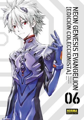 Neon Genesis Evangelion Edición Coleccionista - Volumen 6 (Español)