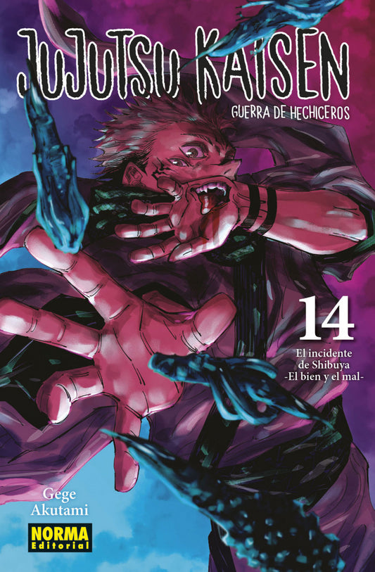 Jujutsu Kaisen - Volumen 14 (Español)