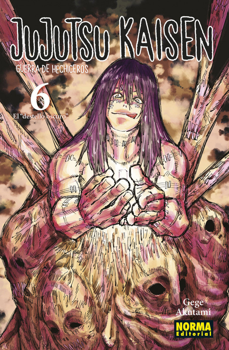 Jujutsu Kaisen - Volumen 6 (Español)